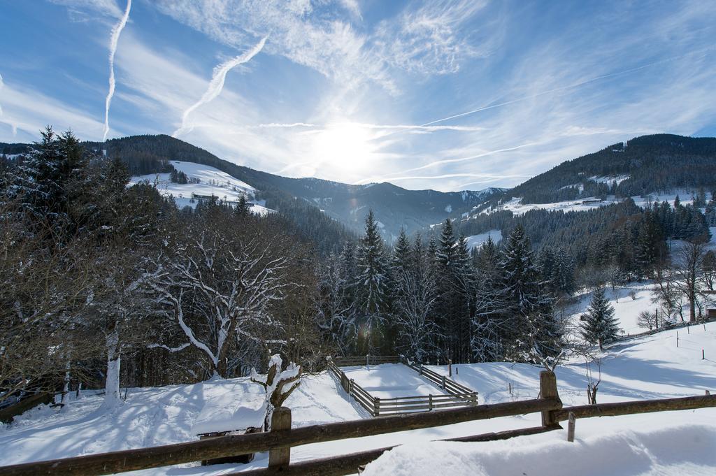 Hotel Gasthof Erbhof Anderlhof Leogang Esterno foto